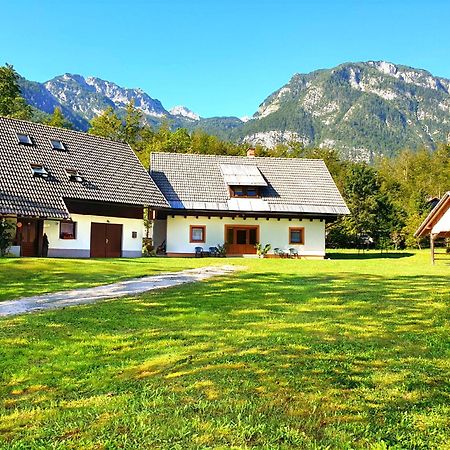Apartmaji Zupanc Ivanka Bohinj Luaran gambar